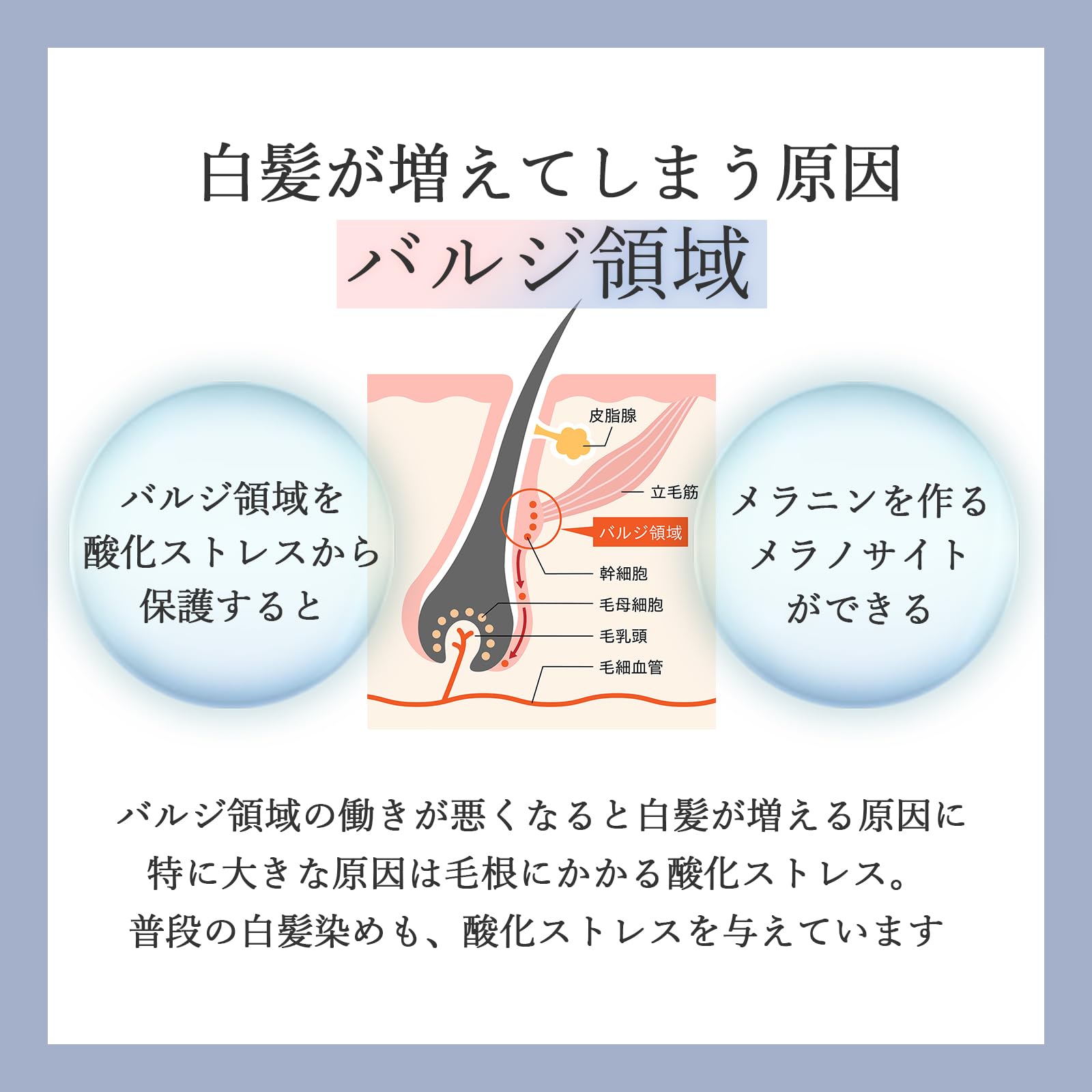 Amazon | EVOLUTESTA クロカツ水シャンプー 染めない 白髪ケア 美容室